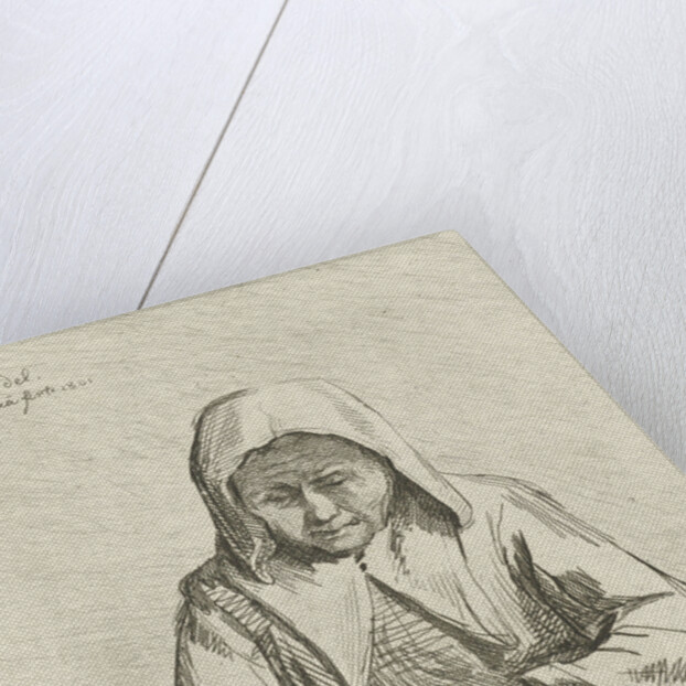 Apple different woman by Johannes Pieter de Frey