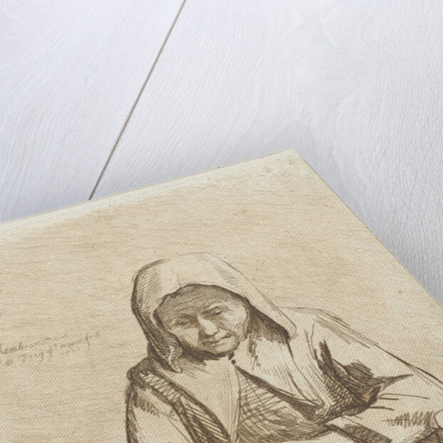 Apple different woman by Johannes Pieter de Frey