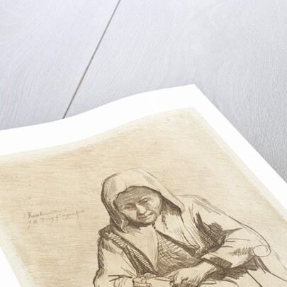 Apple different woman by Johannes Pieter de Frey