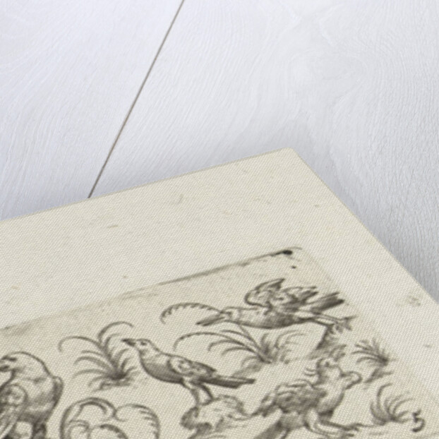 Frieze eleven birds and insect by Marcus Geeraerts