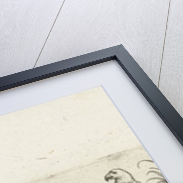 Frieze eleven birds and insect by Marcus Geeraerts