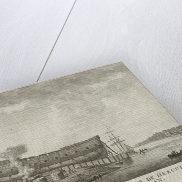 Frieze with nine birds by Warship Hercules