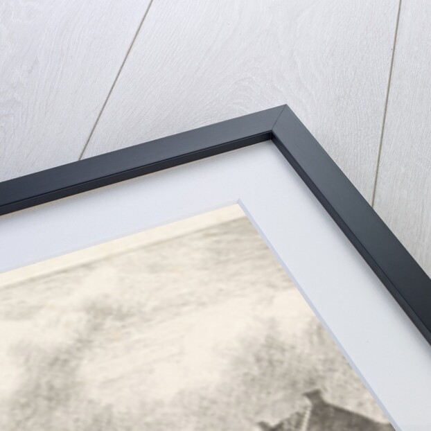 Bleekveld by Alexander Mollinger