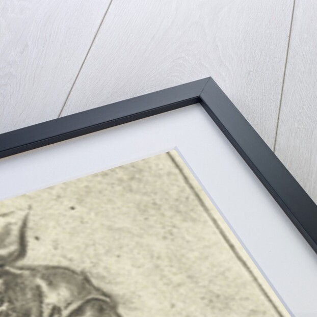 Standing farmer with hand and arm into his cloak by Adriaen van Ostade