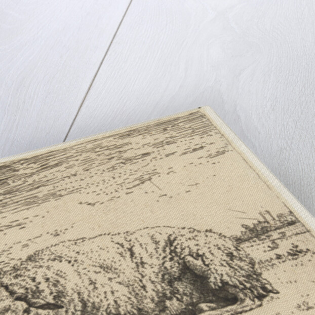 Resting sheep by Karel Dujardin