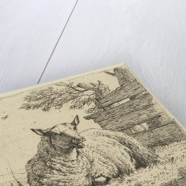 Sheep on a fence by Karel Dujardin