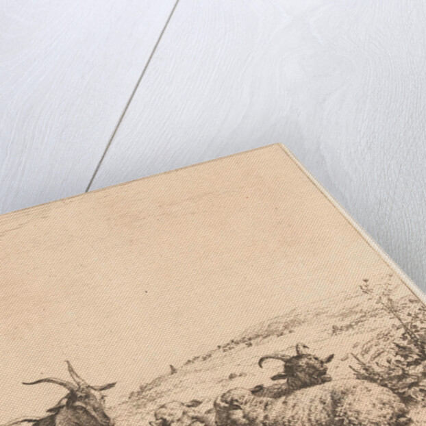 Two goats and three sheep by Karel Dujardin