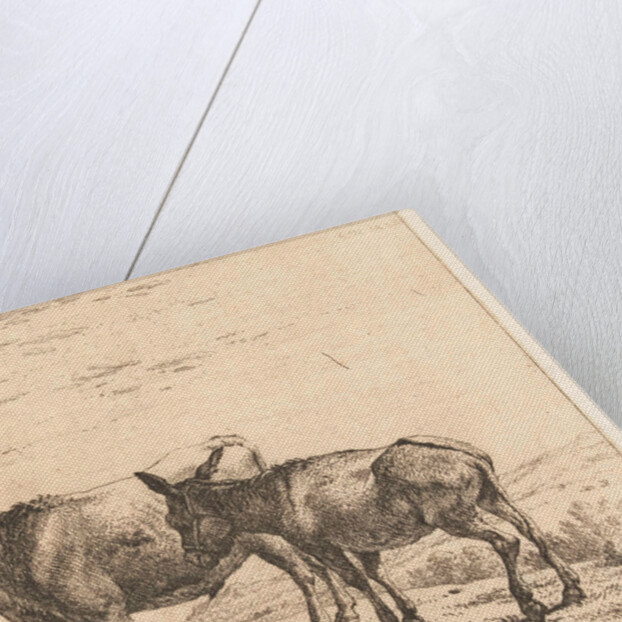 Ox and donkey by Karel Dujardin