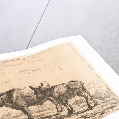 Ox and donkey by Karel Dujardin