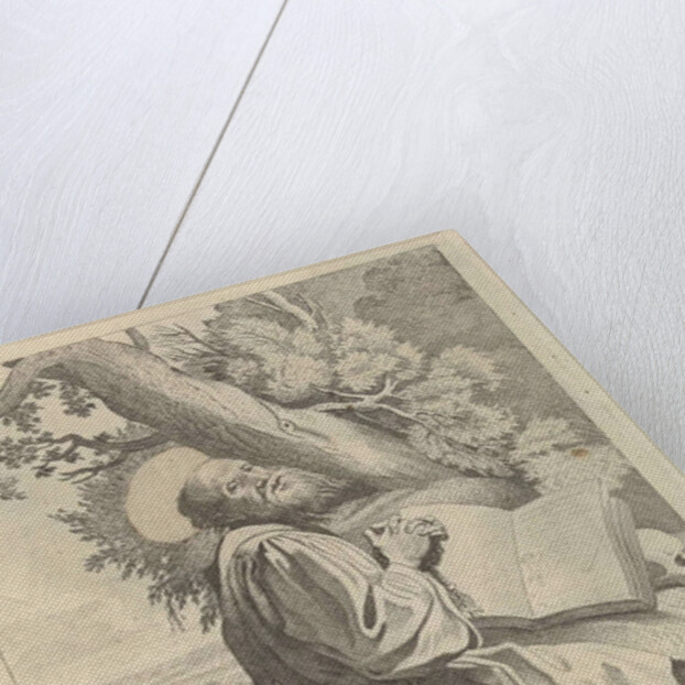 St. Francis by Frederik de Wit