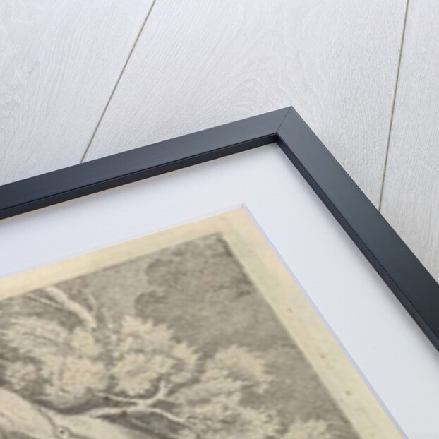 St. Francis by Frederik de Wit