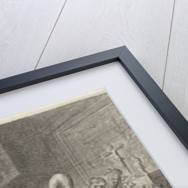 Purity and vanity by Pieter Nolpe