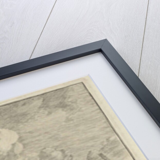 View of the IJ by Adam Silo