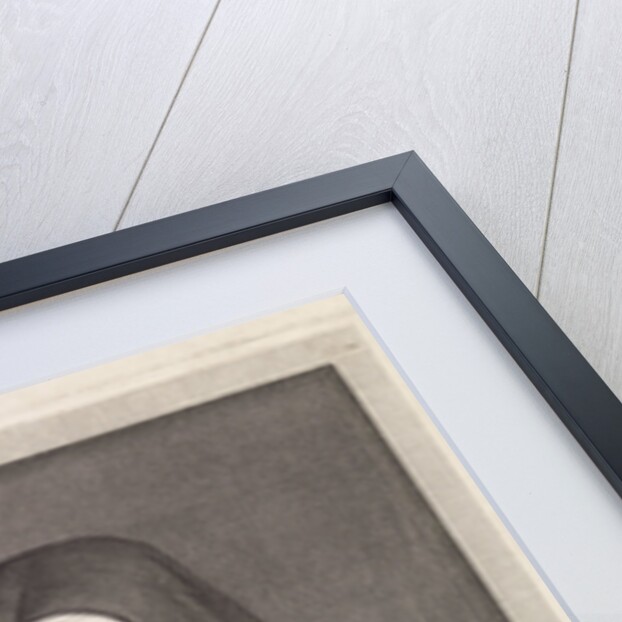 Portrait of Marie Angelique Arnauld by Pieter van Schuppen