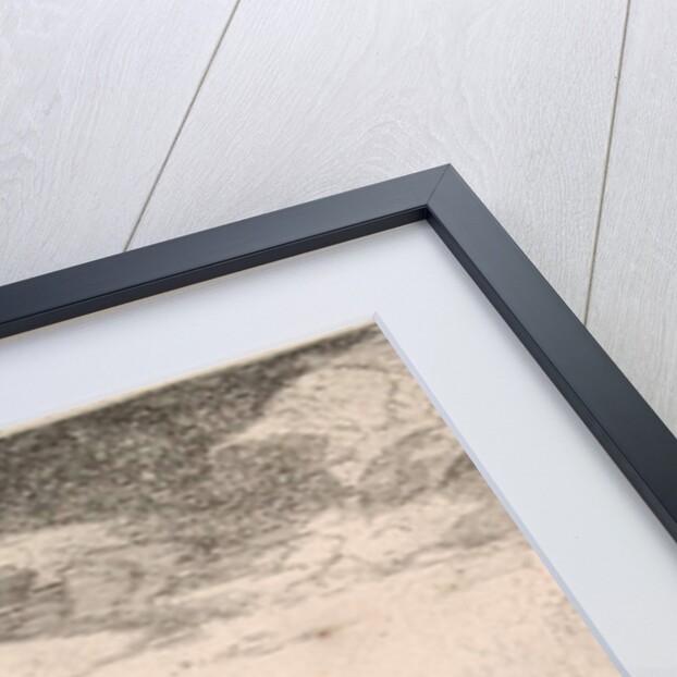 Delivery of mail by a postman on horseback by Jan Houwens I