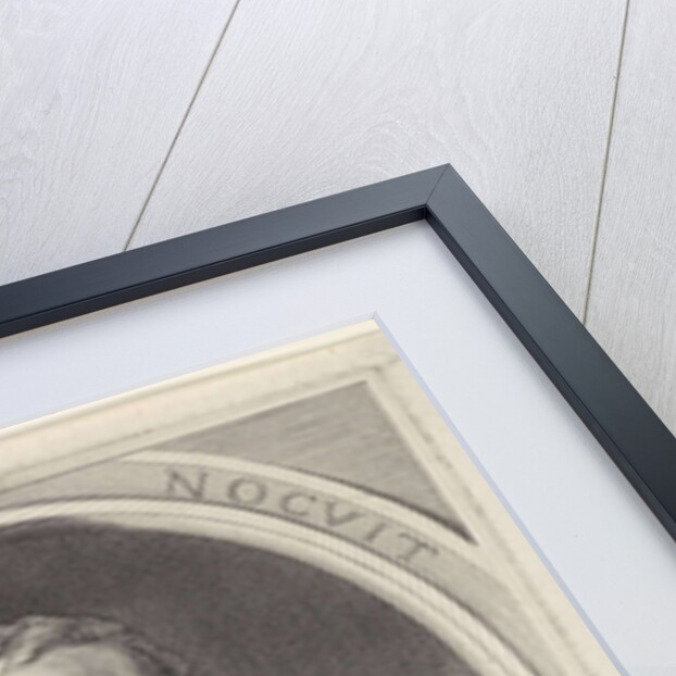 Portrait of Albert Joachimi by Theodor Matham