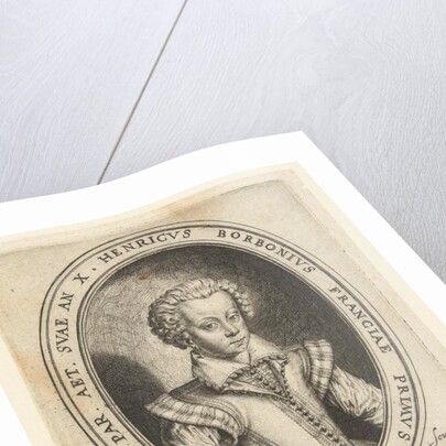 Portrait of Henry II of Bourbon, Prince of Conde, at the age of 10 by Hugo de Groot