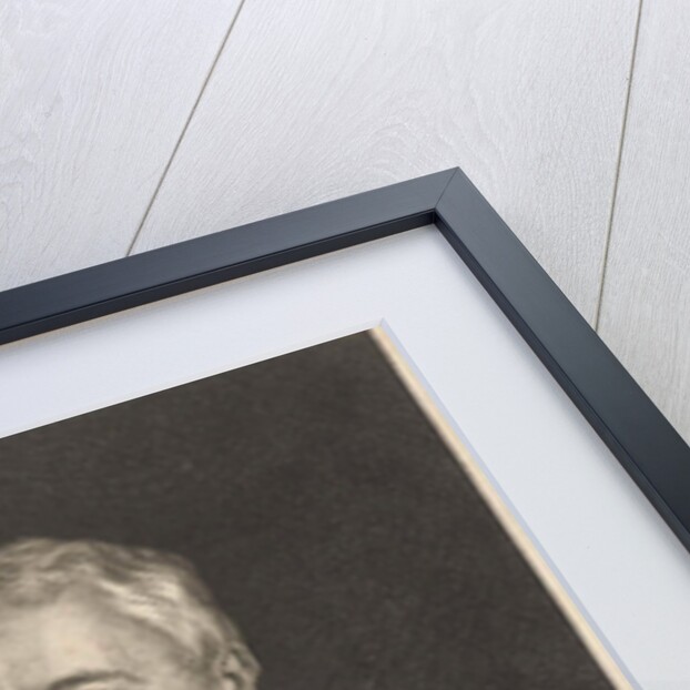 Portrait of Albertus Huttenus by Geeraert Brandt I