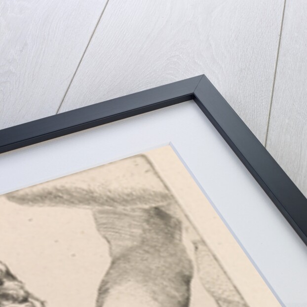 Armstudies by Augustinus Terwesten I