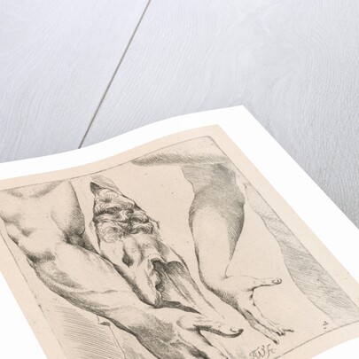 Armstudies by Augustinus Terwesten I