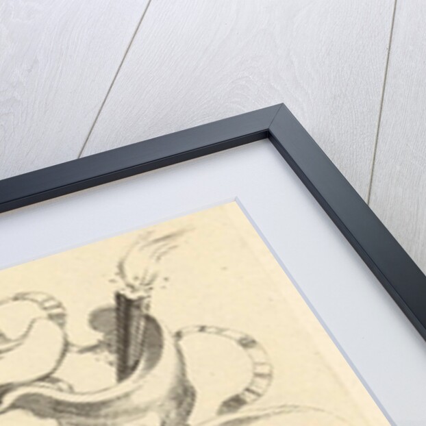 Broad lobe cartridge with heart-shaped compartment by Johannes Lutma II