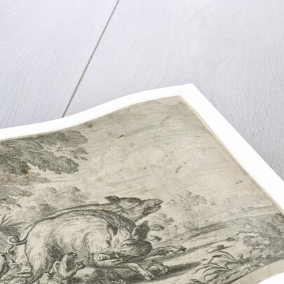 Wild boar hunt by Jacques Van Merle