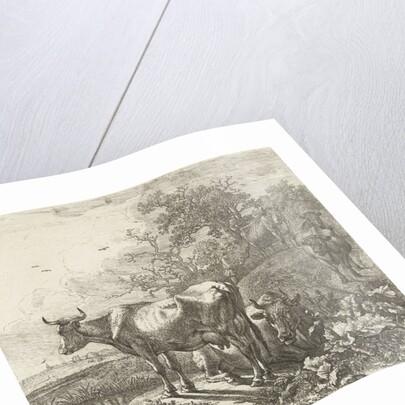 The herdsman by Paulus Potter