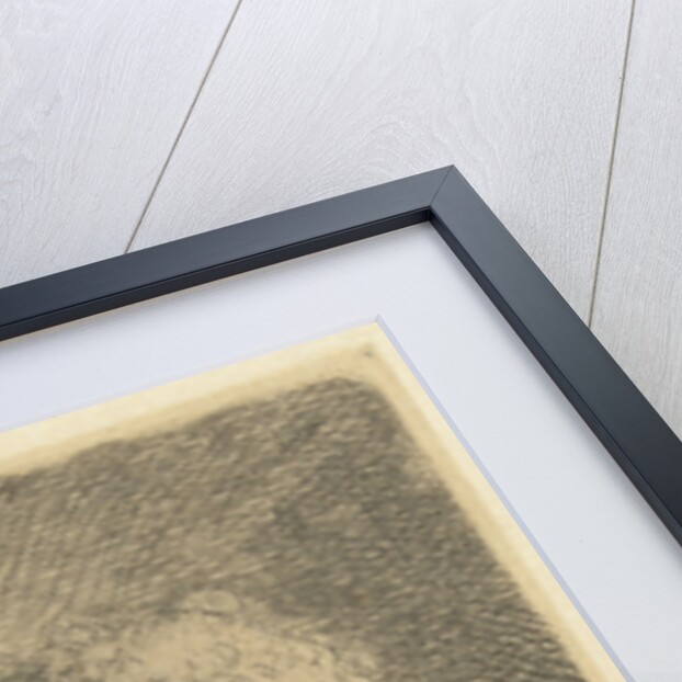 Reading monk by Anonymous