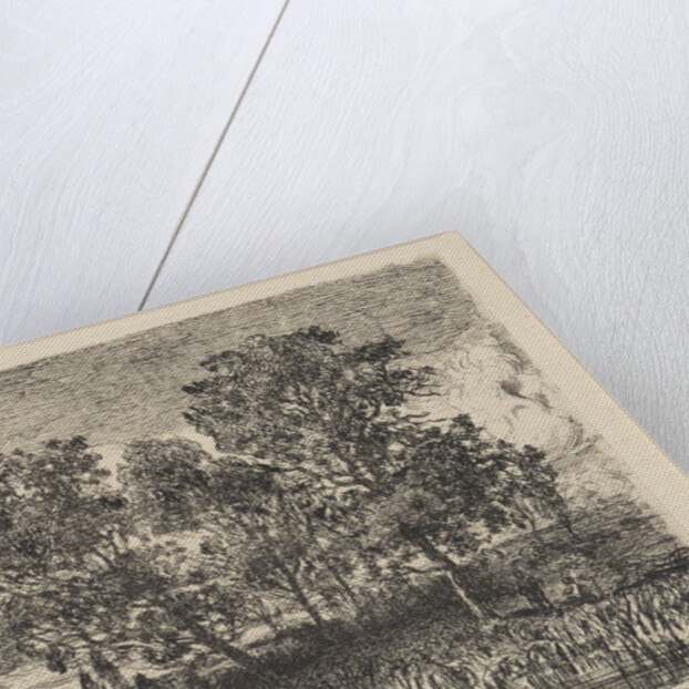 Three trees on a shore by Augustinus Jacobus Bernardus Wouters