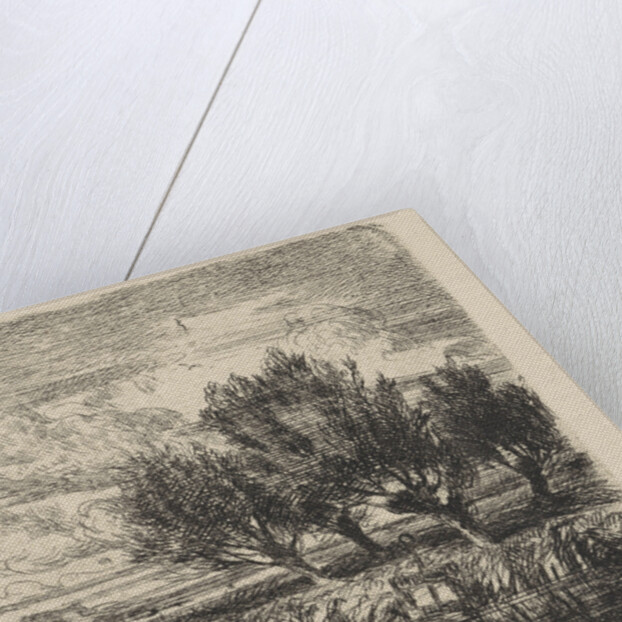 Willows at the waterside by Augustinus Jacobus Bernardus Wouters