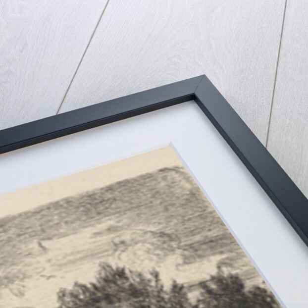 Willows at the waterside by Augustinus Jacobus Bernardus Wouters