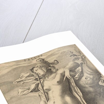 Minerva in a tree by Petrus Scriverius