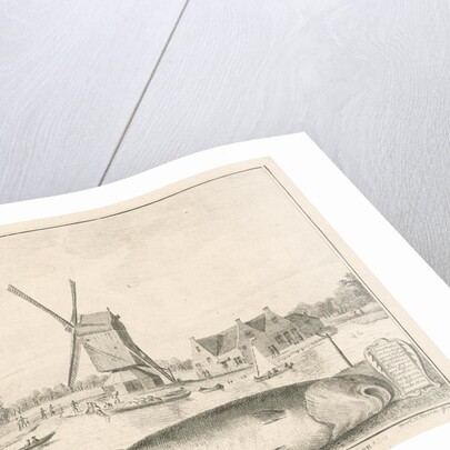 Cod caught in 't Spaarne by Cornelis van Noorde