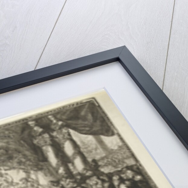 Presentation and description of the appointment of Prince William III as captain-general of the Dutch armed forces by Romeyn de Hooghe