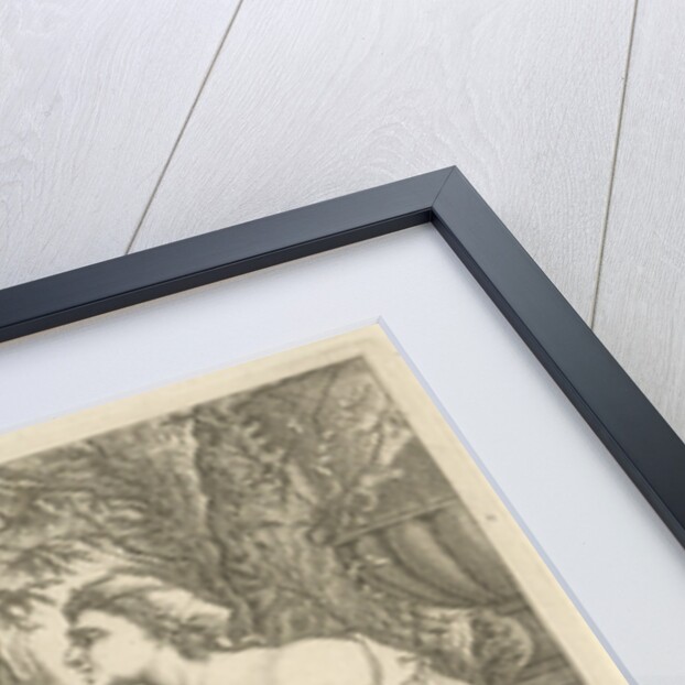 Vertumnus and Pomona by Anonymous