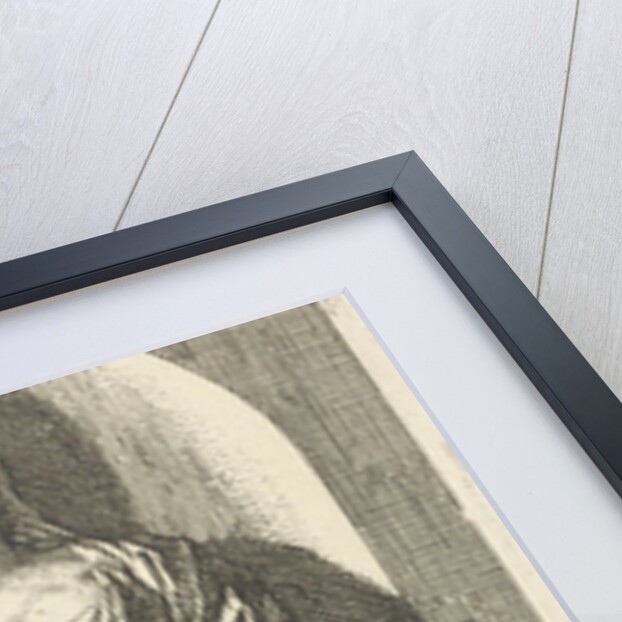 Personification of Wisdom by Arnold Houbraken