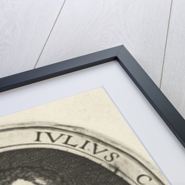 Portrait of Julius Caesar Scaliger by Hendrick Goltzius