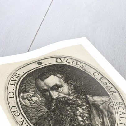 Portrait of Julius Caesar Scaliger by Hendrick Goltzius