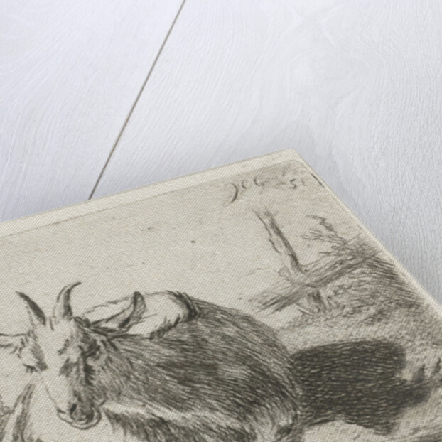 Lying goat, left by Jacobus Cornelis Gaal