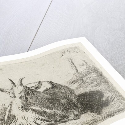 Lying goat, left by Jacobus Cornelis Gaal