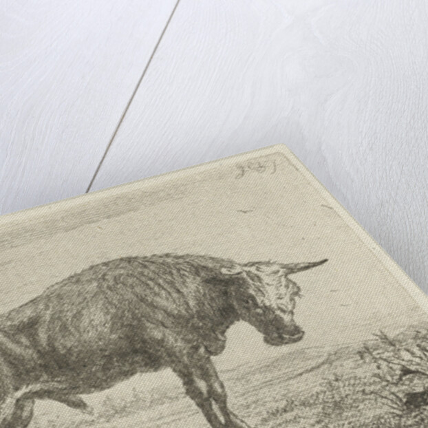 Standing bull by Jacobus Cornelis Gaal