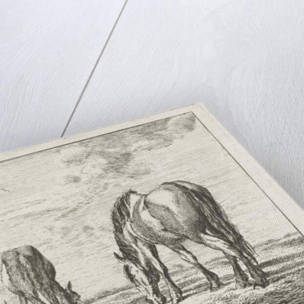 Two grazing horses by Jacobus Cornelis Gaal