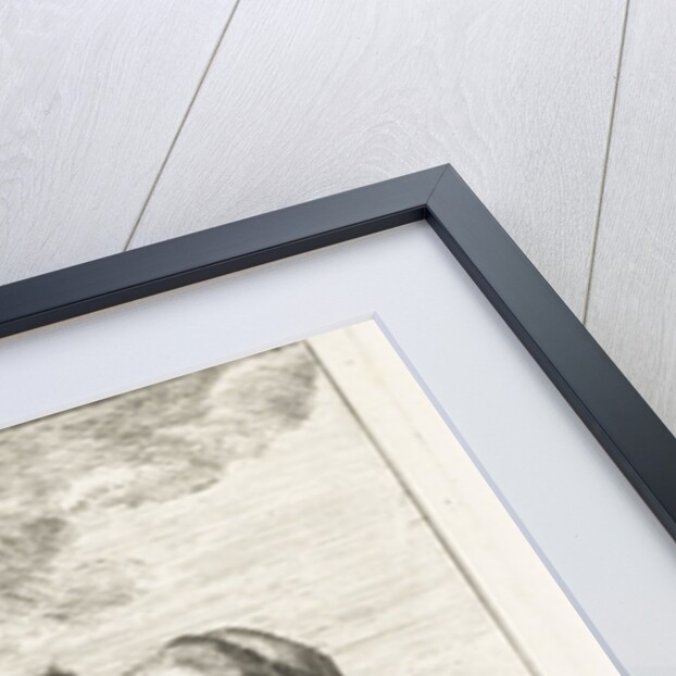 Two grazing horses by Jacobus Cornelis Gaal