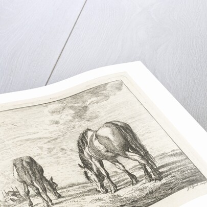 Two grazing horses by Jacobus Cornelis Gaal