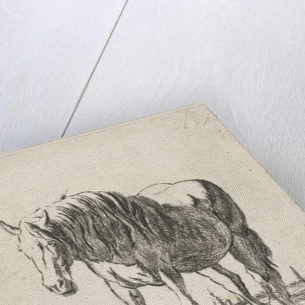 Single white horse by Jacobus Cornelis Gaal