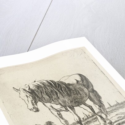 Single white horse by Jacobus Cornelis Gaal