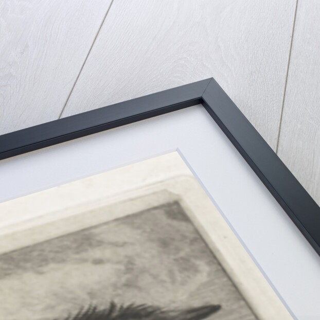 Head of a cow with white kol by Jacobus Cornelis Gaal