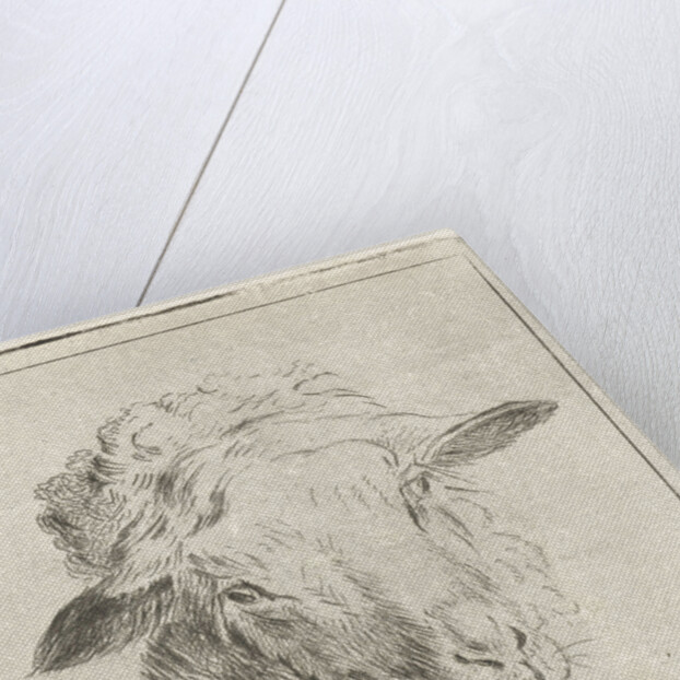 Head of a sheep by Jacobus Cornelis Gaal