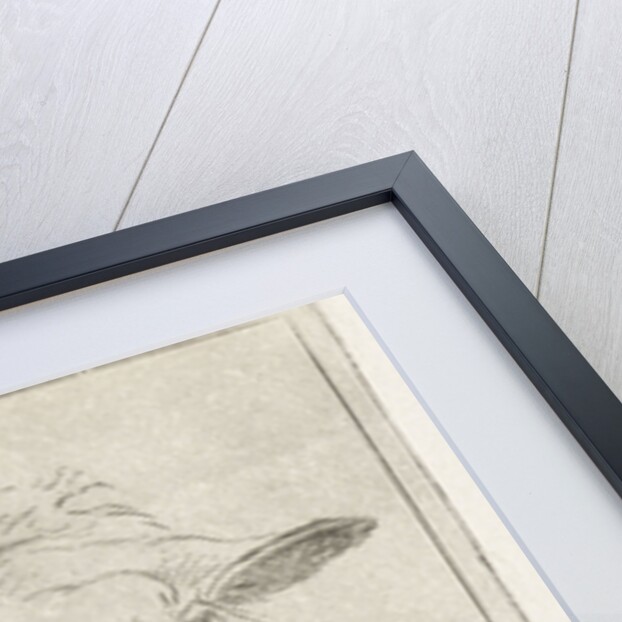 Head of a sheep by Jacobus Cornelis Gaal