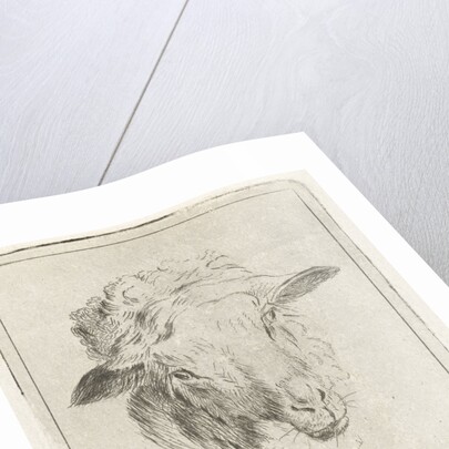 Head of a sheep by Jacobus Cornelis Gaal